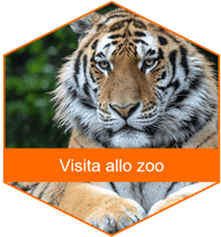 Visita allo zoo